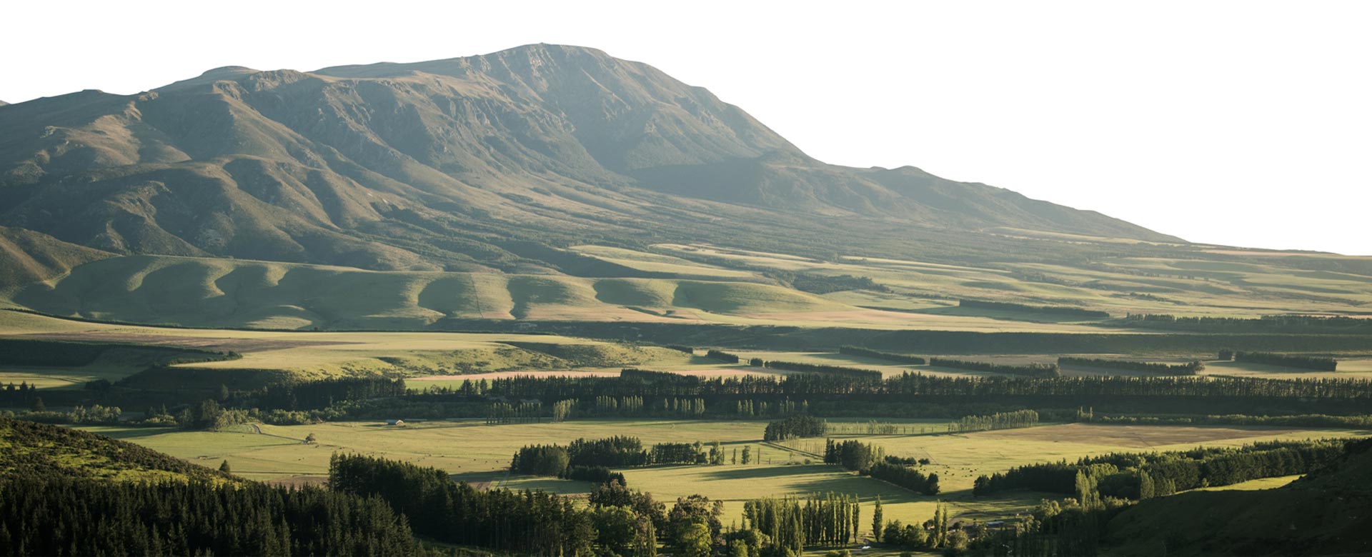 hilly NZ landscape